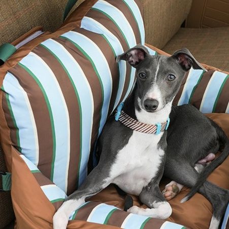 車載用固定ベルト付き立体包囲型犬ベッド