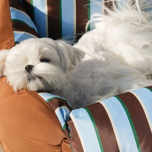 車載用固定ベルト付き立体包囲型犬ベッド