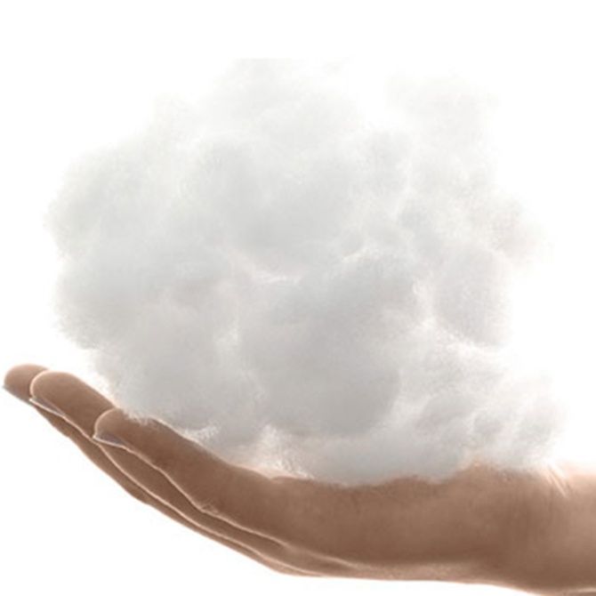 犬ベッド 大型犬対応車載用ふかふか防水