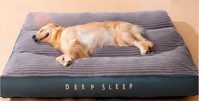 大型犬対応コーデュロイ柄低反発犬用マット