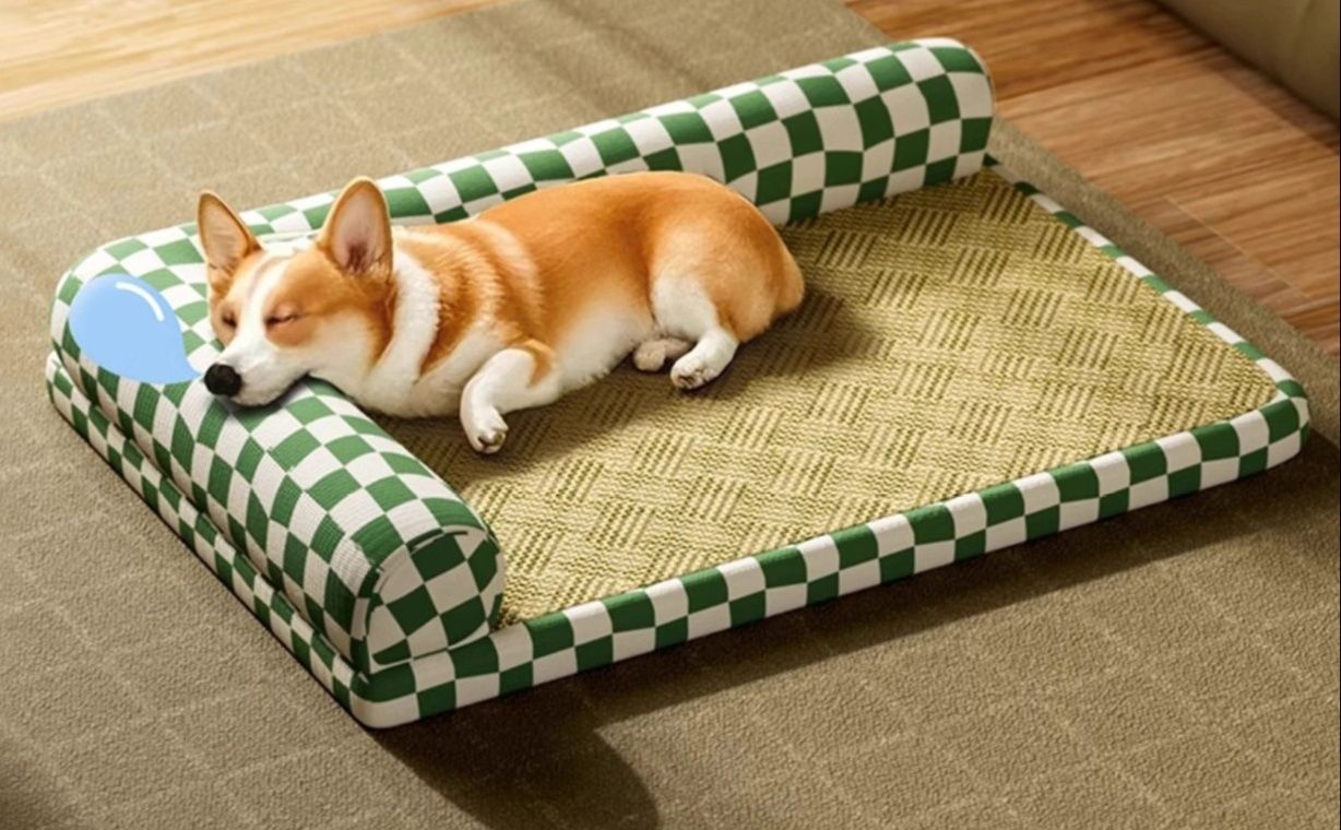 https://fulmo-img-server.com/dog-bed-lab/1777599613299_32wjyl0e_hi841aar.jpeg