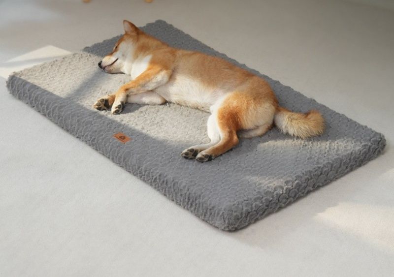 https://fulmo-img-server.com/dog-bed-lab/1783474014260_rccji9fd_o7dxhkre.jpeg
