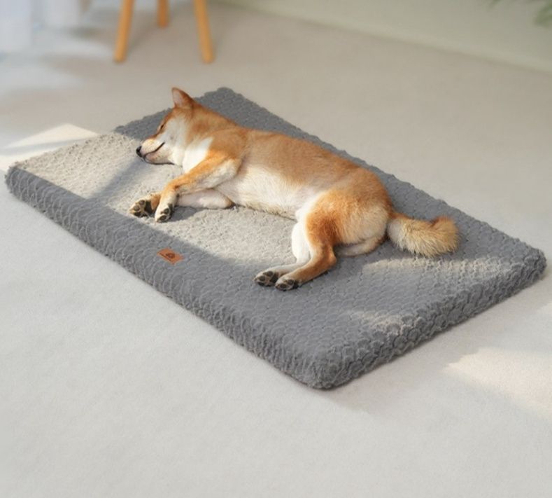 https://fulmo-img-server.com/dog-bed-lab/1783474076136_9t0y81rn_hvg6550x.jpeg