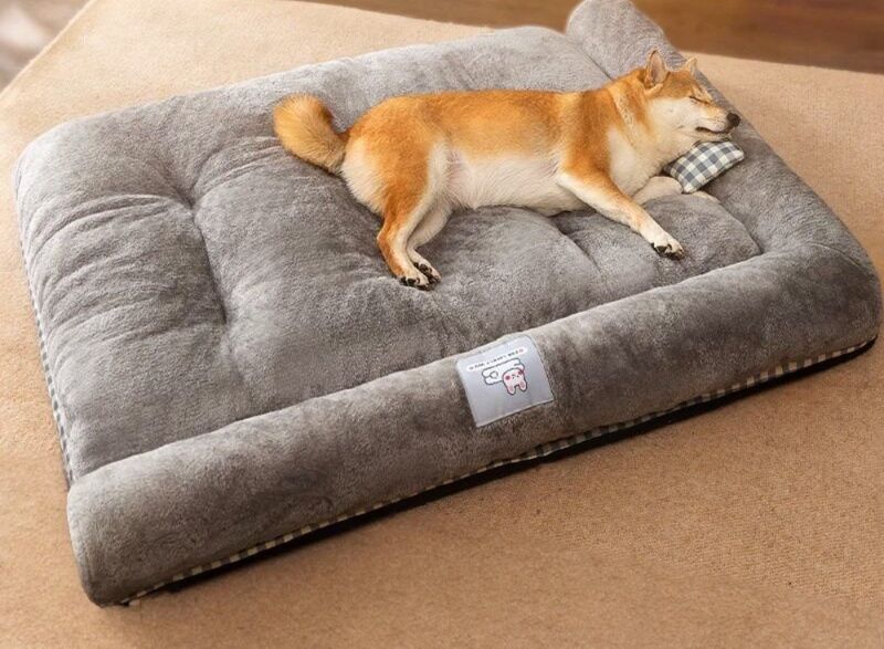 https://fulmo-img-server.com/dog-bed-lab/1783474779927_6548fci6_eroaaggr.jpeg