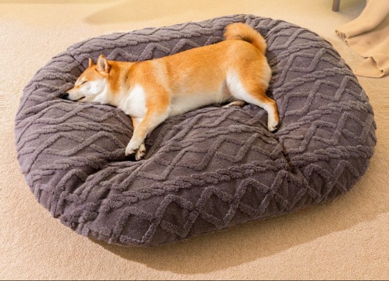 https://fulmo-img-server.com/dog-bed-lab/1783475356267_jel0e6ar_mwrt3gb3.jpeg