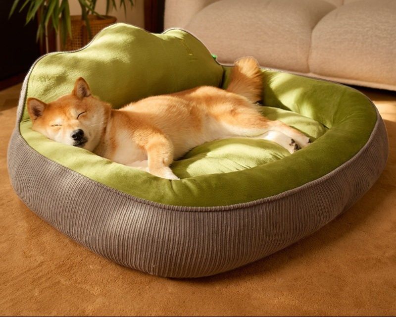 https://fulmo-img-server.com/dog-bed-lab/1783475707013_fnr93rtc_s6lku6ko.jpeg