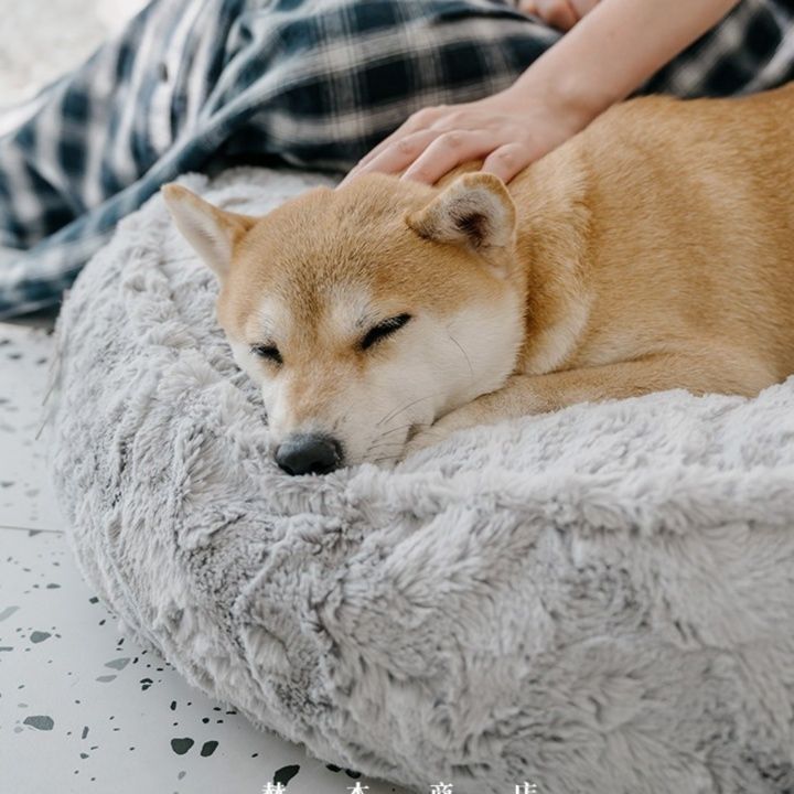 https://fulmo-img-server.com/dog-bed-lab/1783476083107_wkqnb3xu_5yjx0sof.jpeg