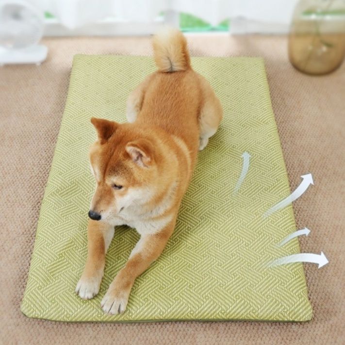 https://fulmo-img-server.com/dog-bed-lab/1783476389307_625gjbg9_pd6qkfbp.jpeg