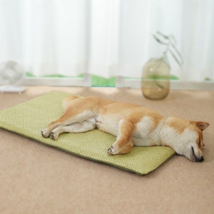 https://fulmo-img-server.com/dog-bed-lab/1783476418538_ke4bf1om_tgkos3au.jpeg