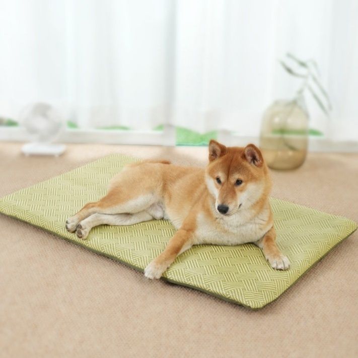 https://fulmo-img-server.com/dog-bed-lab/1783476450145_rsa408i9_bc21qo81.jpeg