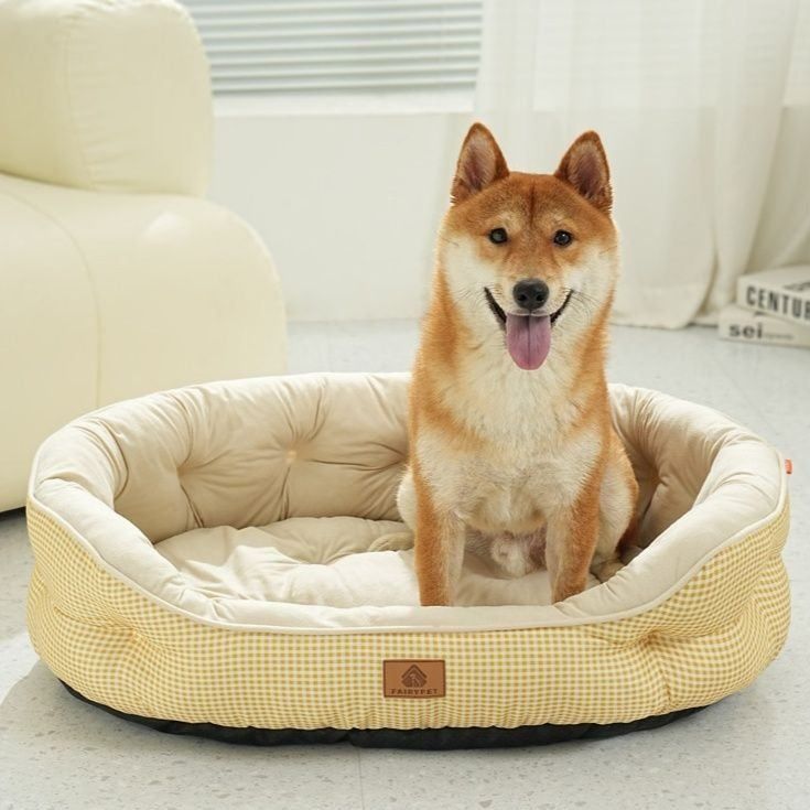 https://fulmo-img-server.com/dog-bed-lab/1783910760311_ylbnbavn_ka77wt0b.jpeg