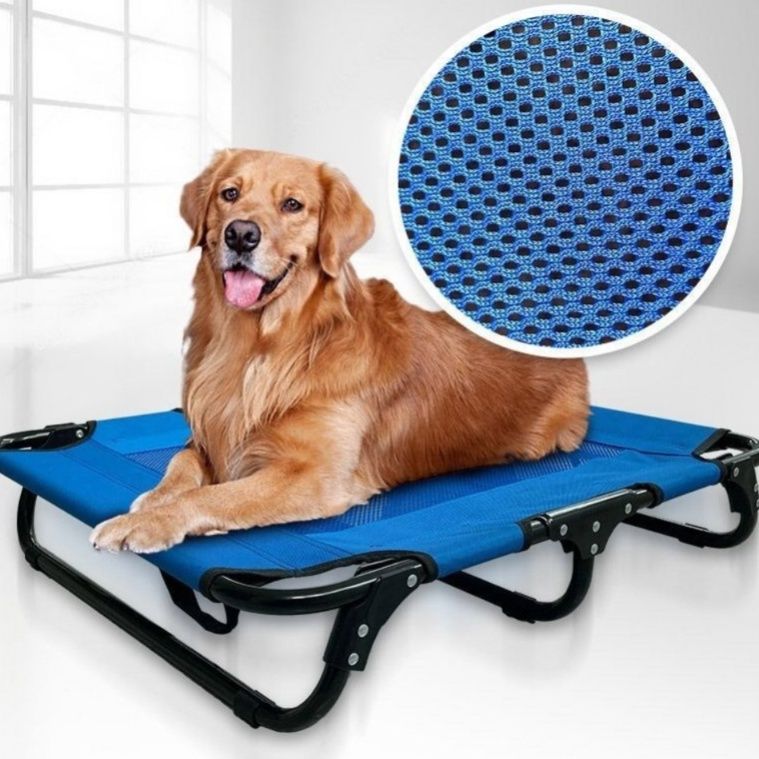https://fulmo-img-server.com/dog-bed-lab/1785981034503_swn36bw5_epze5khy.jpeg