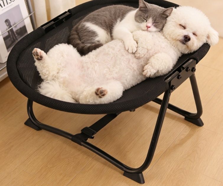 https://fulmo-img-server.com/dog-bed-lab/1785983937194_l49wv23k_2u8nvnnb.jpeg