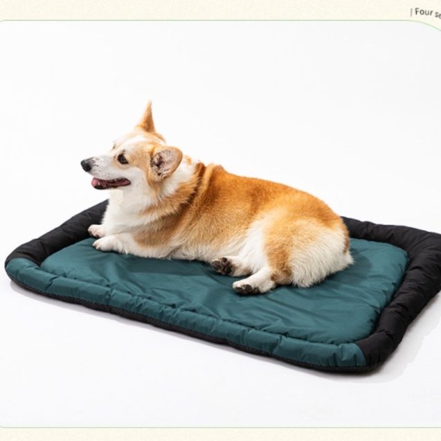 https://fulmo-img-server.com/dog-bed-lab/1788830791151_ye7imvxb_4z3f0ufs.jpeg