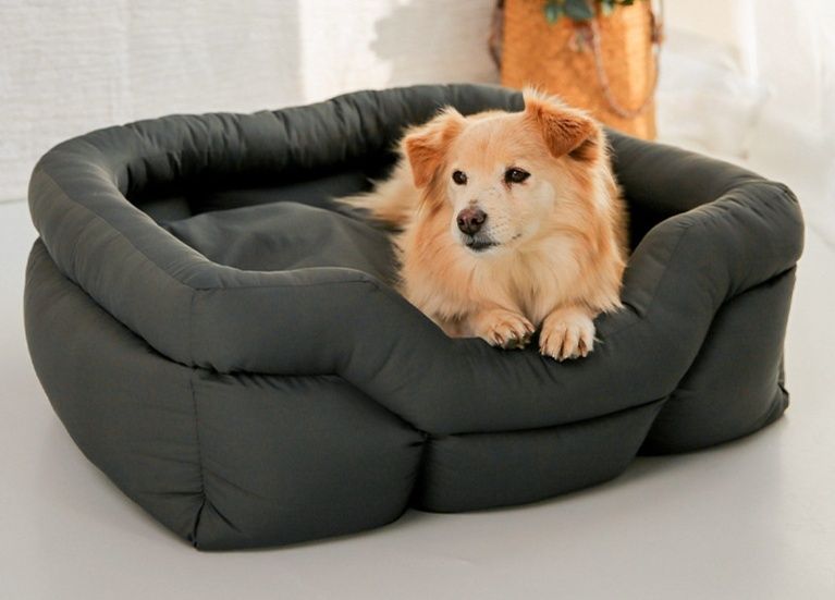 https://fulmo-img-server.com/dog-bed-lab/1790137872456_lxcxfj7g_0fa08sif.jpeg