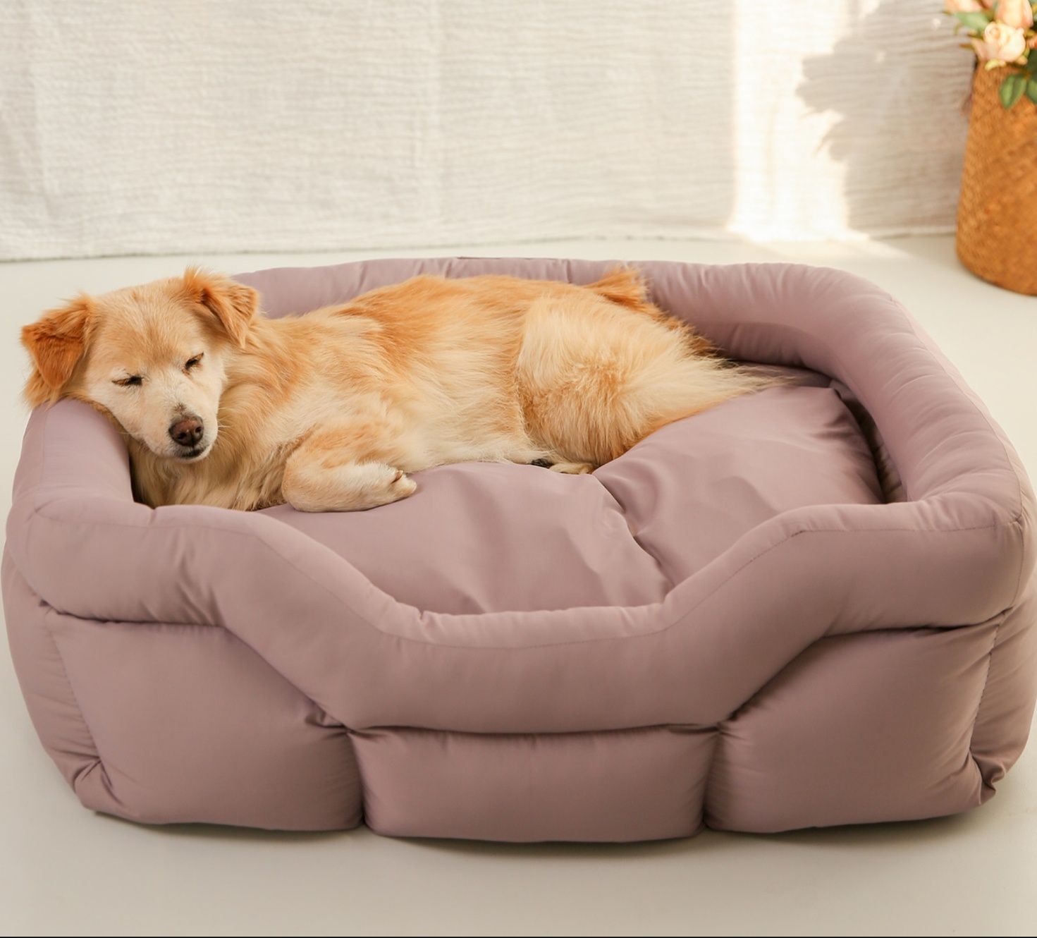 https://fulmo-img-server.com/dog-bed-lab/1790137883955_oygxdp9l_9fcd0kpr.jpeg