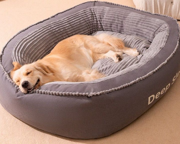 https://fulmo-img-server.com/dog-bed-lab/1790138029421_m6ktt91k_6u8p0lqf.jpeg