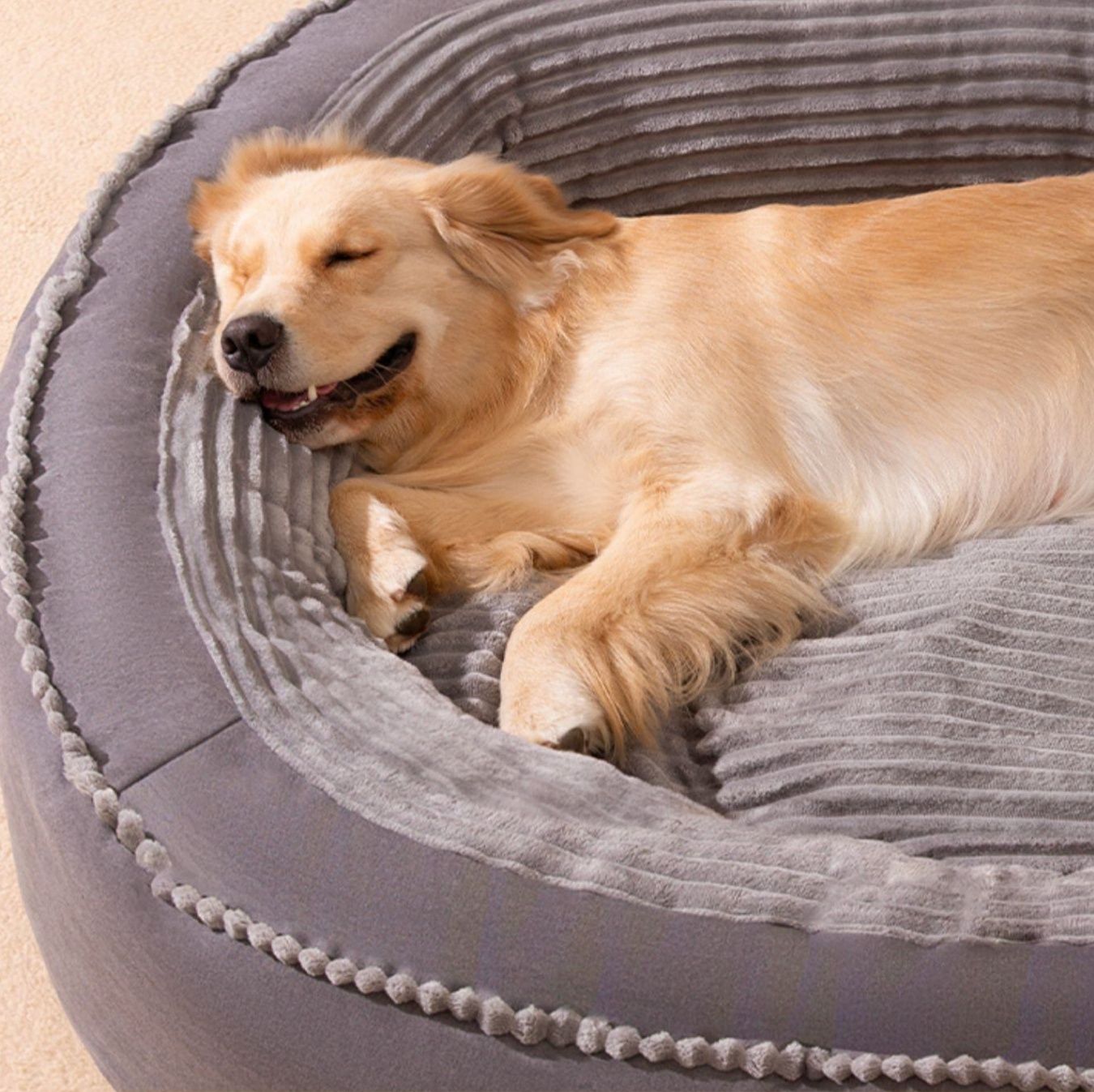 https://fulmo-img-server.com/dog-bed-lab/1790138046068_ybuxil88_x0puwqu8.jpeg