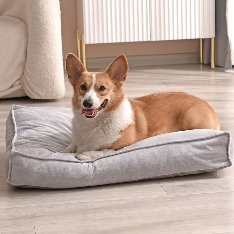 https://fulmo-img-server.com/dog-bed-lab/2006acf3-dee5-41ca-af16-c8f742241bf4.jpg