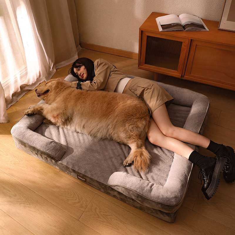 https://fulmo-img-server.com/dog-bed-lab/223a8b810b004ca0a32a51852e5998a0.jepg