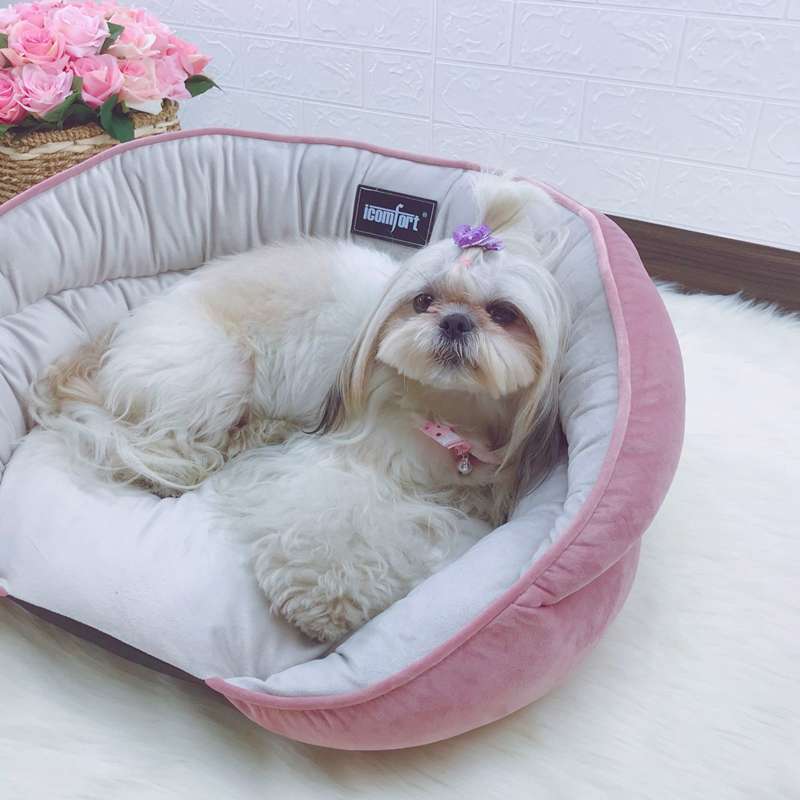 https://fulmo-img-server.com/dog-bed-lab/230acf640cfd41229449ddaa32523ea5.jepg