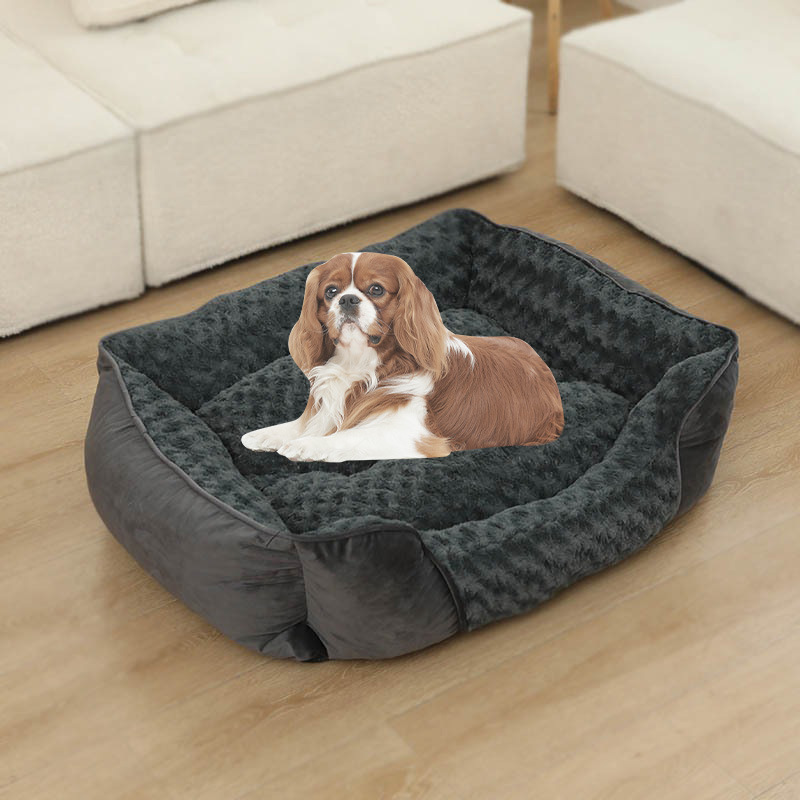 https://fulmo-img-server.com/dog-bed-lab/35e43a81-f72b-4363-ae9c-eea7e0e0dcba.jpg