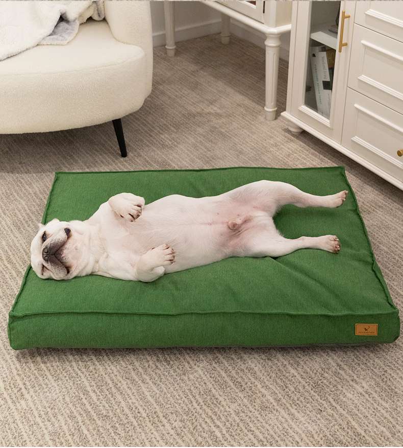 https://fulmo-img-server.com/dog-bed-lab/379c30aa47304b968292e6f91ca19bfb.jepg