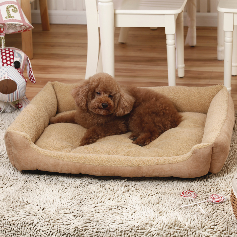 https://fulmo-img-server.com/dog-bed-lab/4d48dade-41fc-4de3-8344-e244b32f0f96.jpg