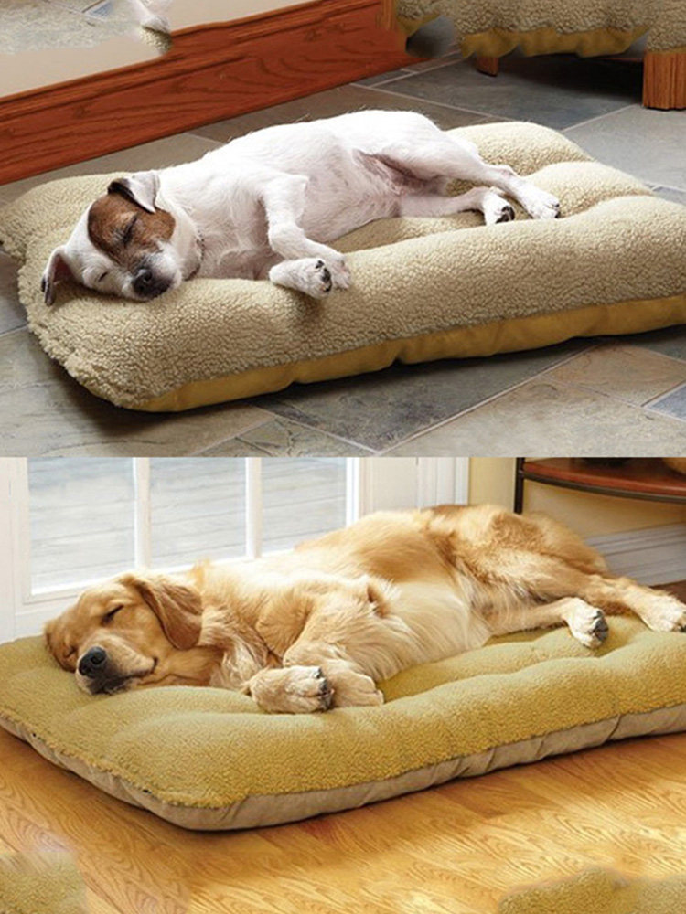 https://fulmo-img-server.com/dog-bed-lab/5495d348-fd2e-4be7-b195-a8ed4c4fa26a.jpg