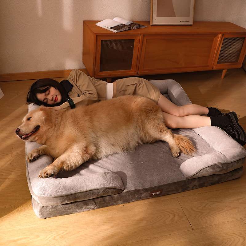 https://fulmo-img-server.com/dog-bed-lab/613348afcab0452bb6997b37058e7075.jepg