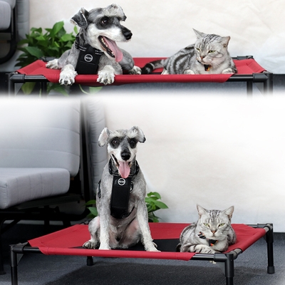 https://fulmo-img-server.com/dog-bed-lab/6d3ea5b0-b6b6-41f1-bebd-7cda432a200d.jpg
