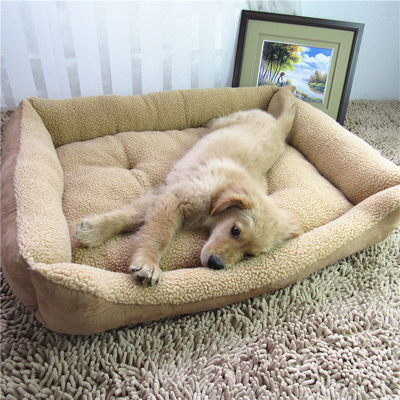 https://fulmo-img-server.com/dog-bed-lab/6e6de97e-ae5b-4755-81b1-8674fd813fa4.jpg