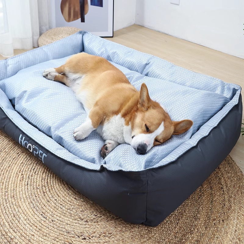 https://fulmo-img-server.com/dog-bed-lab/7e7e43c6-999b-4d89-b641-e4ab6cde4688.jpg