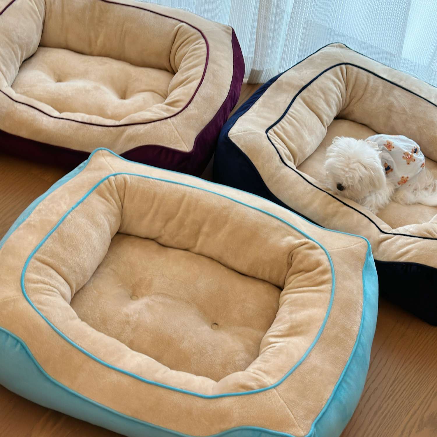 https://fulmo-img-server.com/dog-bed-lab/8bd47524affd458daabb14cf9002ac72.jepg