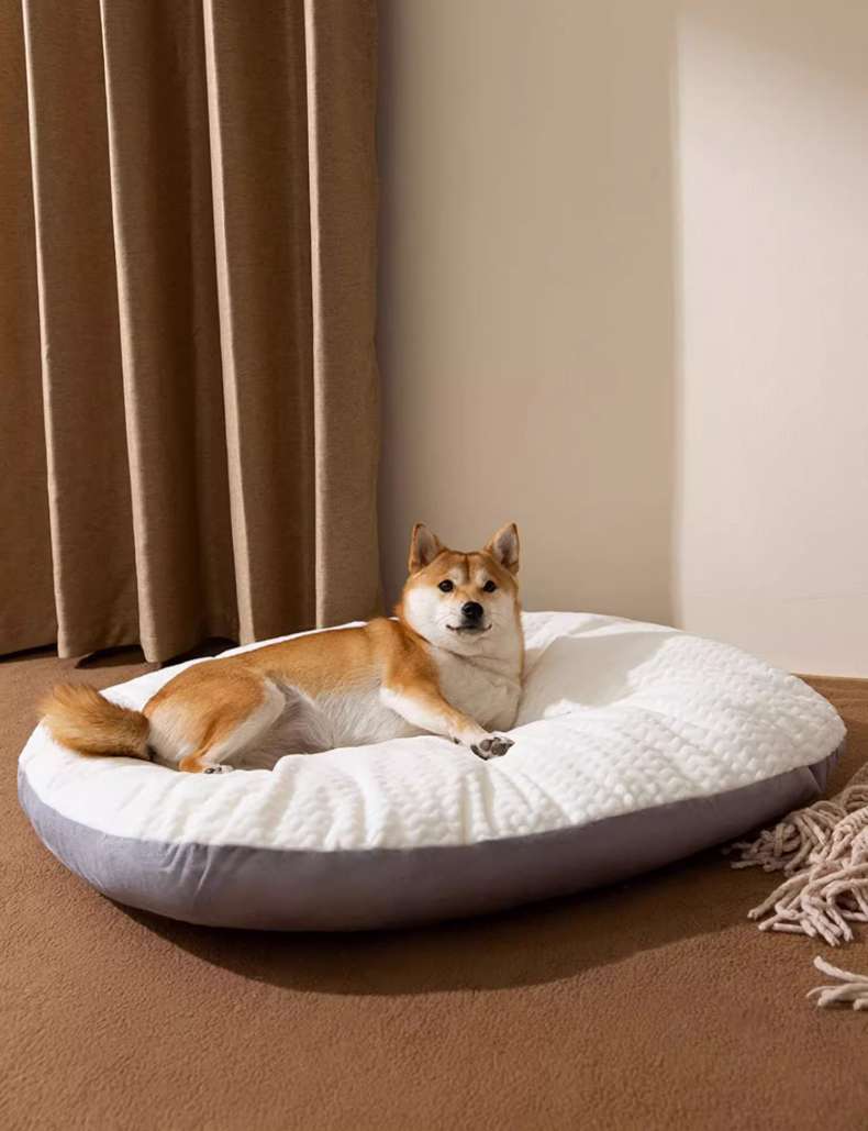 https://fulmo-img-server.com/dog-bed-lab/9cb3ead81f2441d096196a13295a6029.jepg