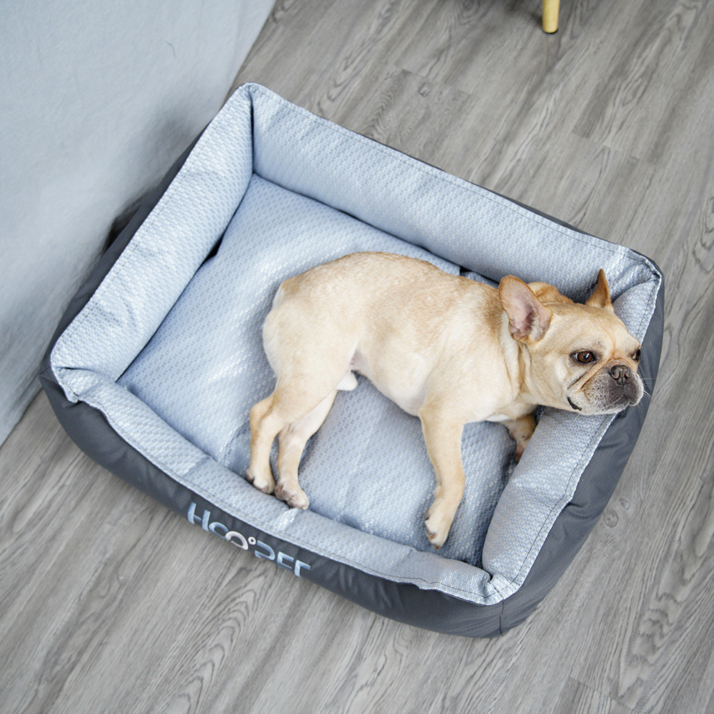 https://fulmo-img-server.com/dog-bed-lab/b587dc79-3af2-4bea-85ea-0b706f6d1c18.jpg