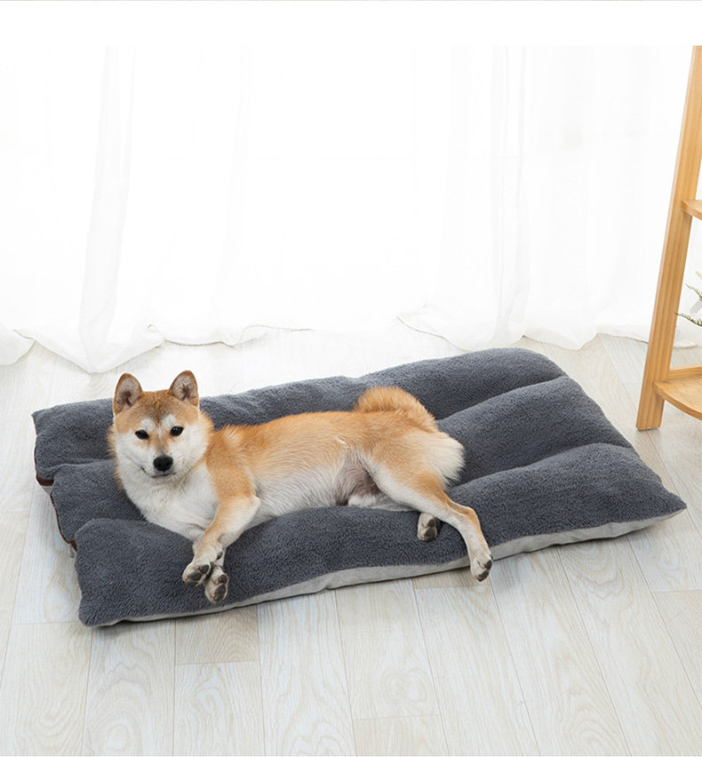 https://fulmo-img-server.com/dog-bed-lab/d3b12fa9-5e94-42af-af3f-ff39303b72a6.jpg