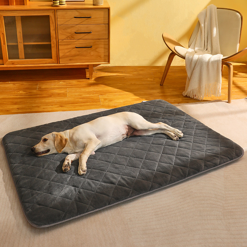 https://fulmo-img-server.com/dog-bed-lab/d84c299d-31fe-4096-8e3c-3032d6a8db2c.jpg