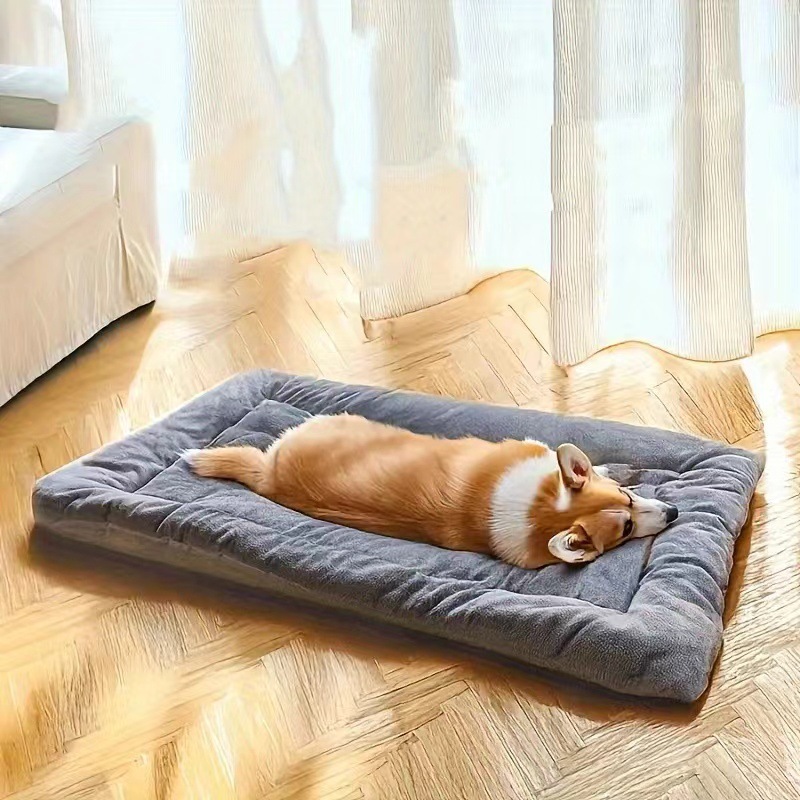 https://fulmo-img-server.com/dog-bed-lab/f15b4e17-6f06-40e1-a891-45b22cd7da2c.jpg