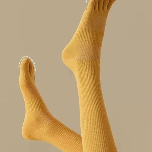 https://fulmo-img-server.com/dr-masaki-medical-sox/1790833954550_cb5s1dj2_dgae00sb.jpeg