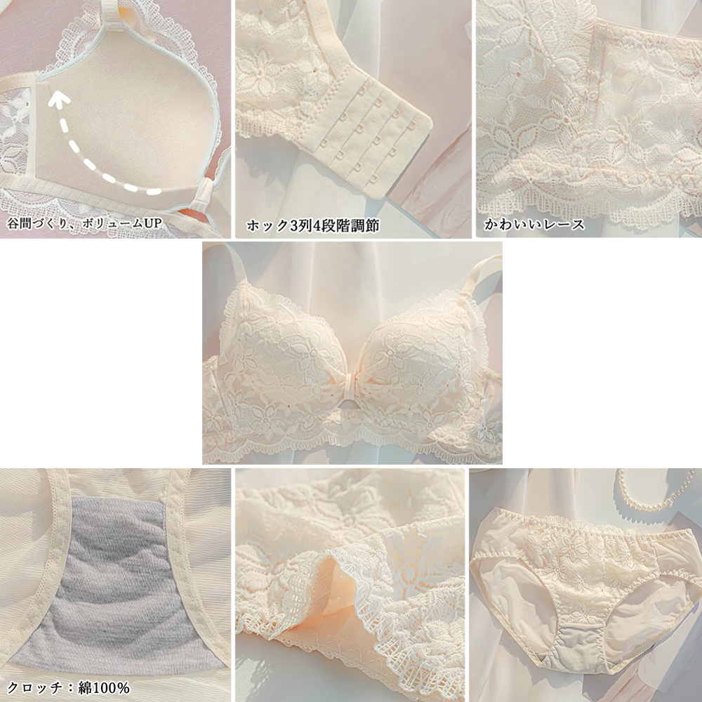 エロ下着 花柄刺繍レースブラ ショーツセット 盛れる