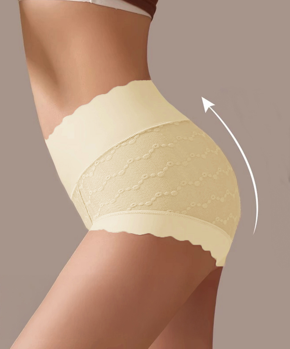 エロ下着 深履き総レース透け感ハイウエストショーツ