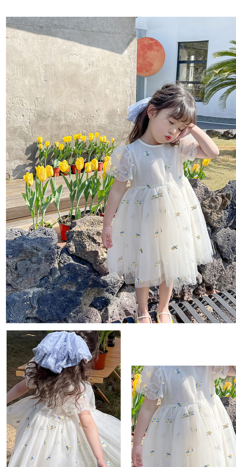キッズファッション 花柄刺繍チュール姫様半袖ドレス