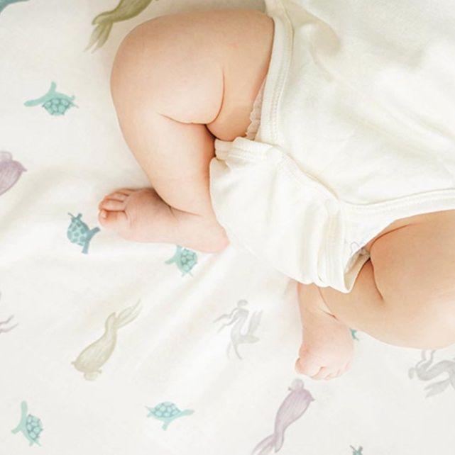 https://fulmo-img-server.com/fuwafuwa-baby/1745596685746_fq4tfkjm_1ufjirim.jpeg