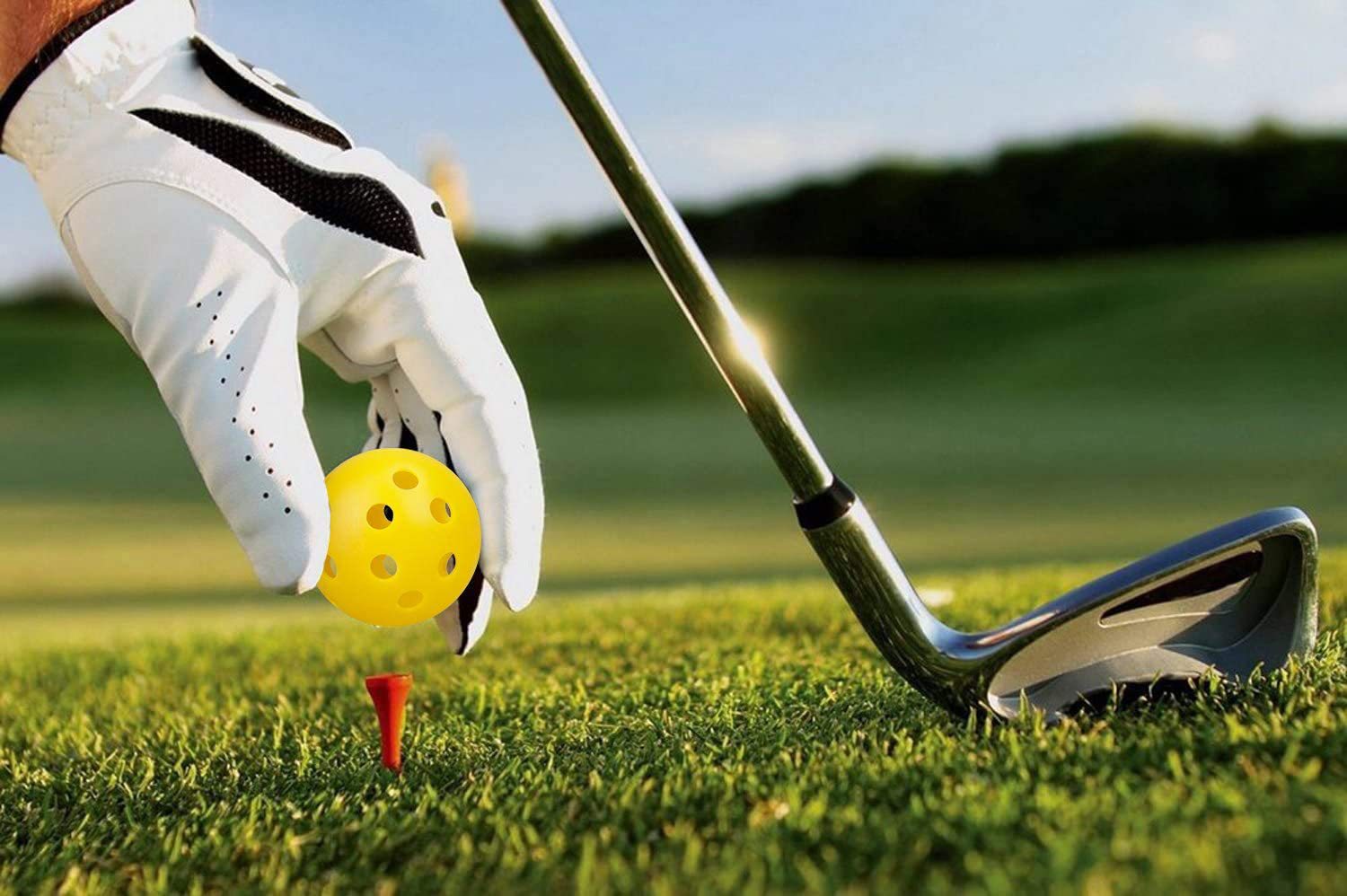 https://fulmo-img-server.com/golf-hack-lab/51300e36-9fc5-40fc-9460-b4435372bcbc.jpg