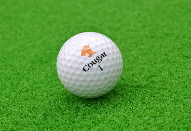 ゴルフ練習器具 飛距離安定型ディンプル練習用ボール