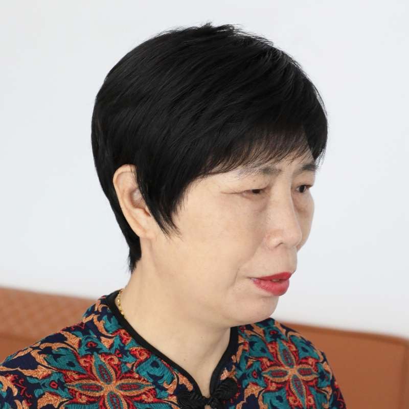 ウィッグ 上品な大人のショートヘアスタイル