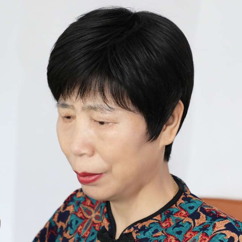 ウィッグ 上品な大人のショートヘアスタイル