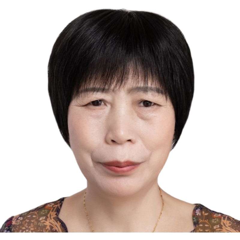 ウィッグ 上品な大人のショートカット