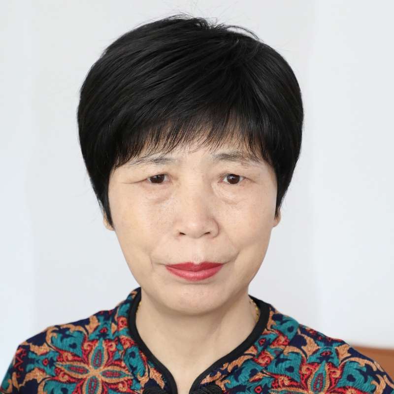 ウィッグ 上品な大人のショートヘアスタイル